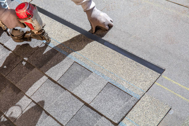 Best Roof Maintenance and Cleaning  in Mcmechen, WV